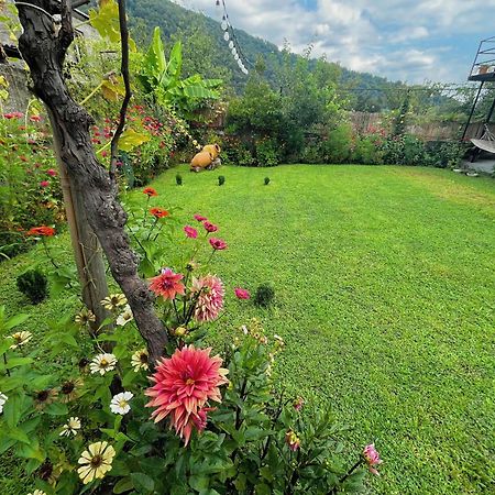 Mountain View Hotel Lagodekhi Ngoại thất bức ảnh