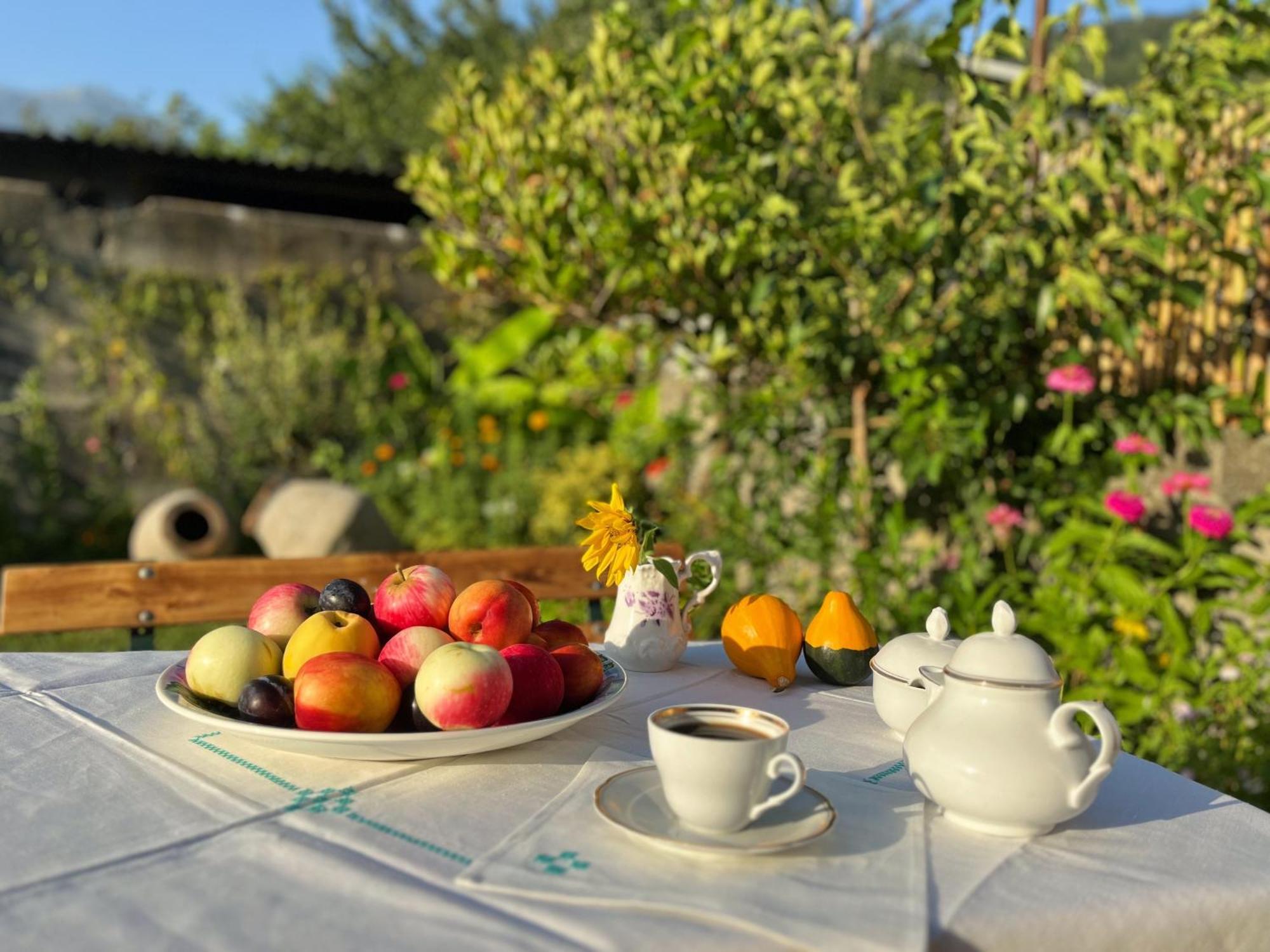 Mountain View Hotel Lagodekhi Ngoại thất bức ảnh