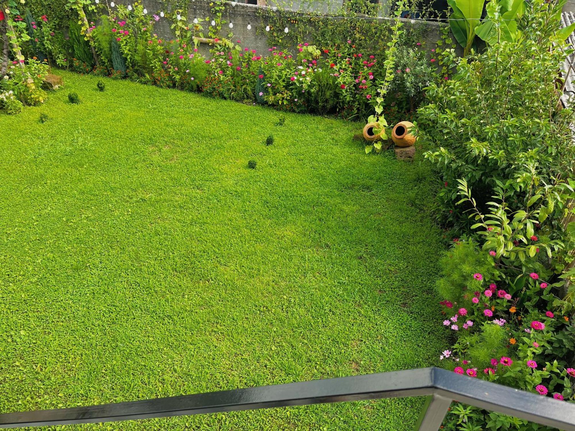 Mountain View Hotel Lagodekhi Ngoại thất bức ảnh