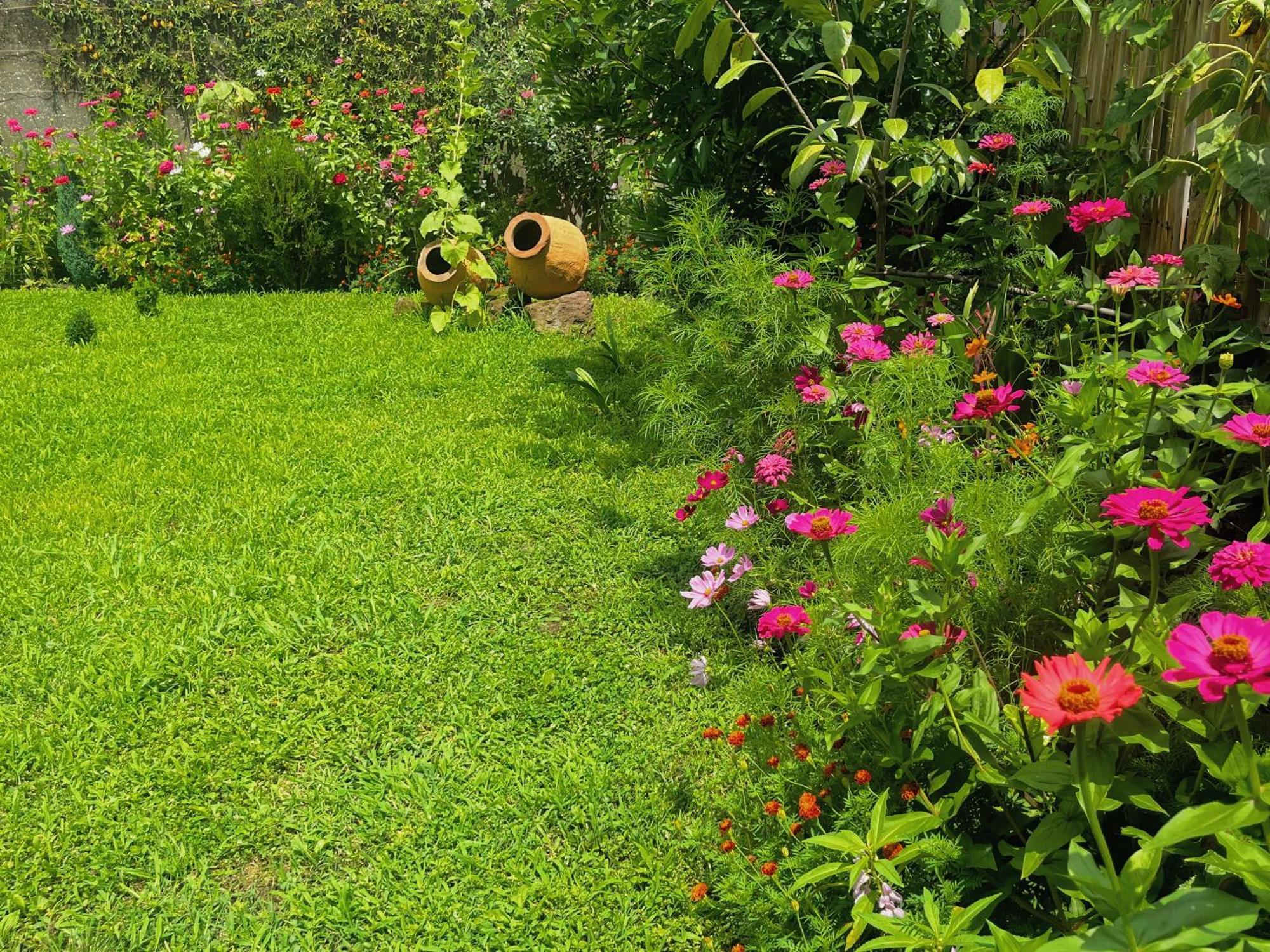 Mountain View Hotel Lagodekhi Ngoại thất bức ảnh