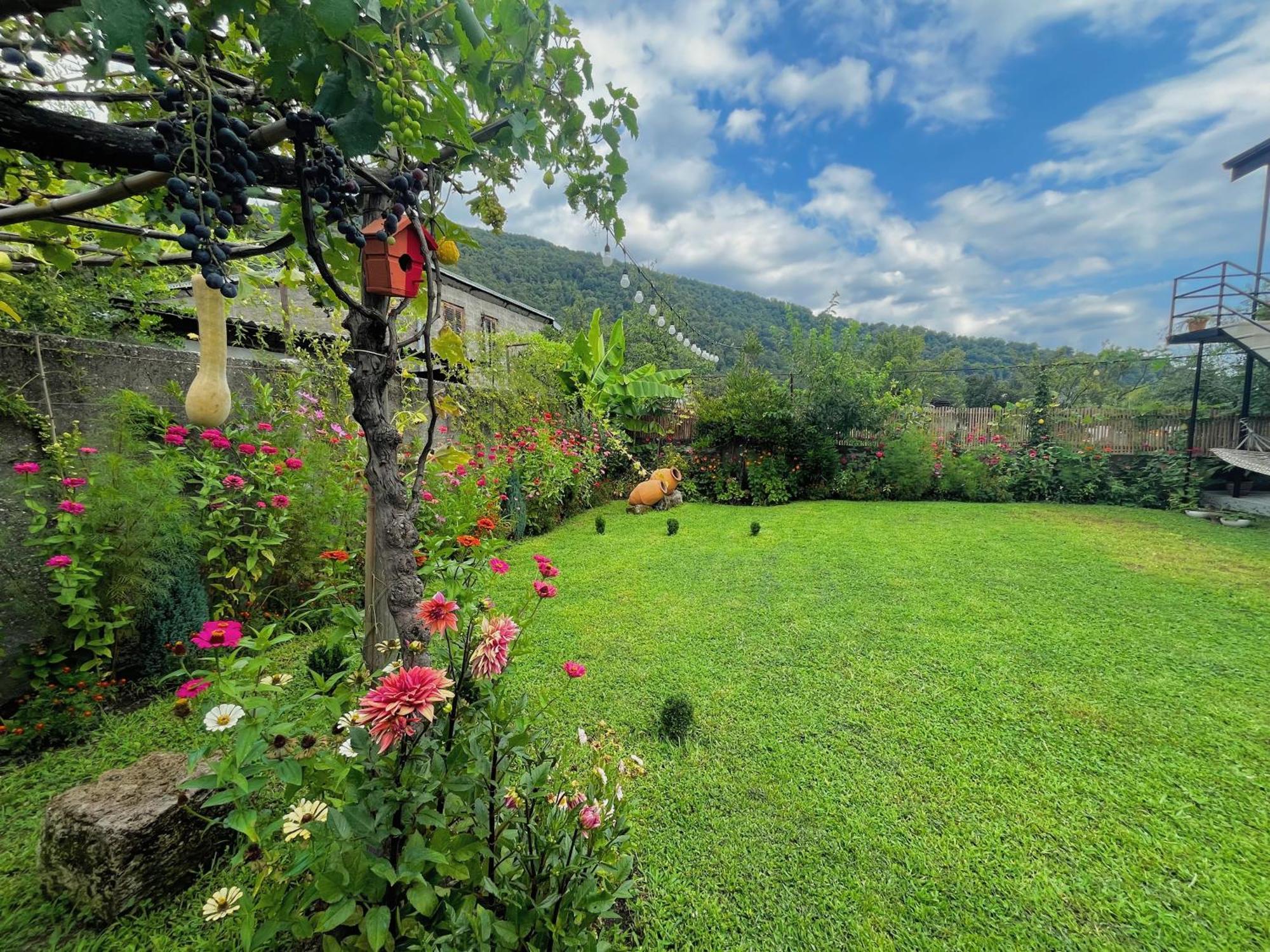 Mountain View Hotel Lagodekhi Ngoại thất bức ảnh